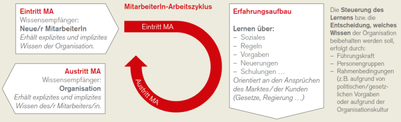 Datei:Wissensmanagement im MitarbeiterInnen-Arbeitszyklus.png